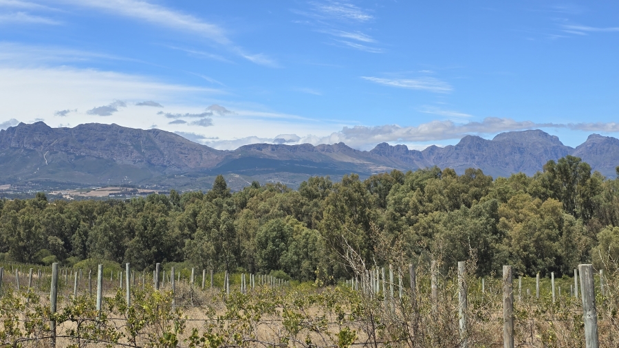 Commercial Property for Sale in Paarl Rural Western Cape